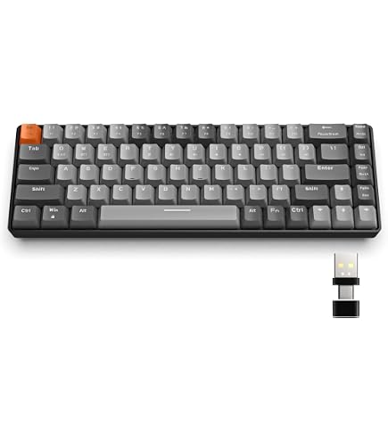 Amazon.com: ZIYOU LANG RK68 60% Wireless Mechanical Keyboard